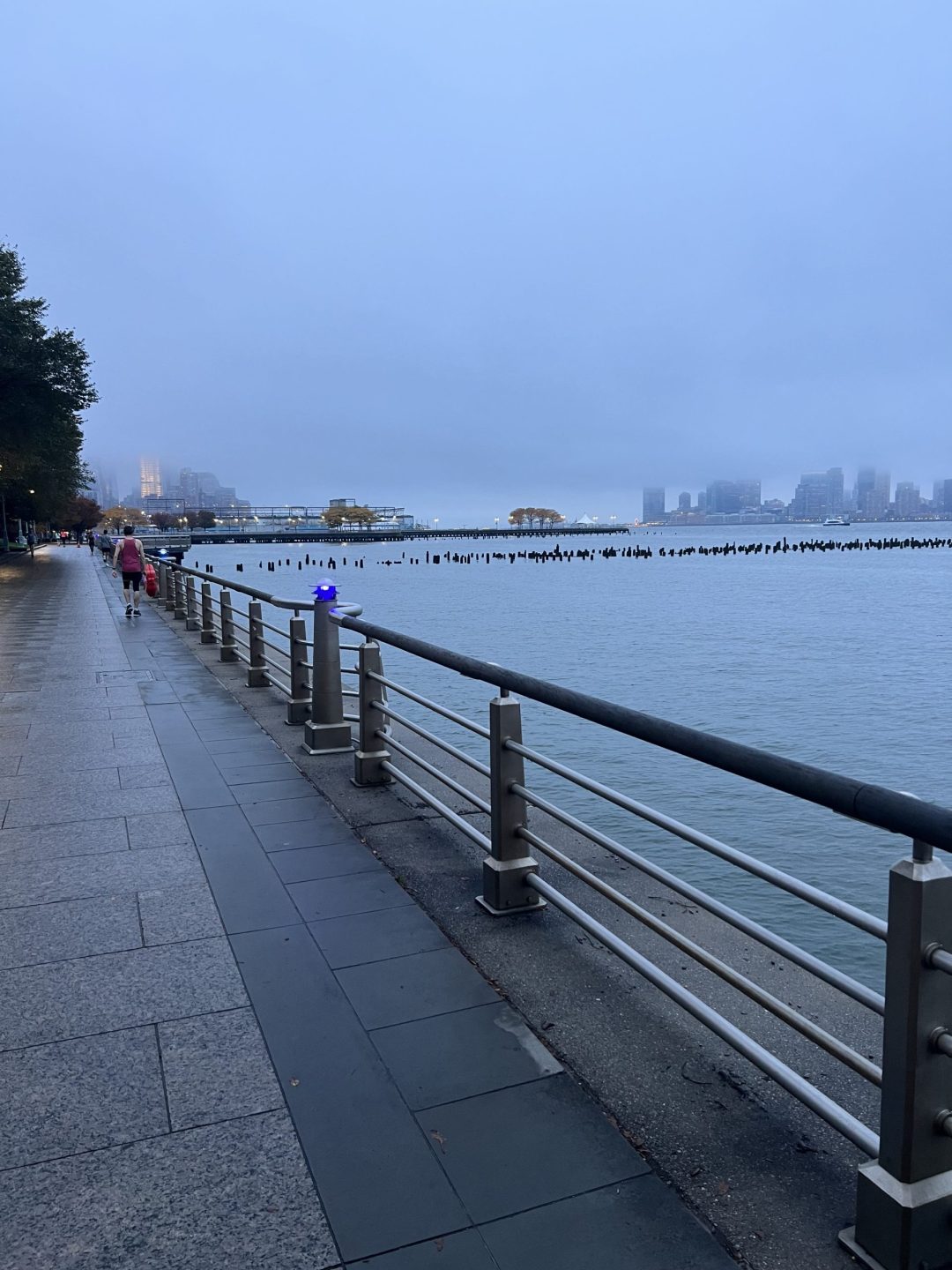 Hudson River waterfront in New York City at dusk